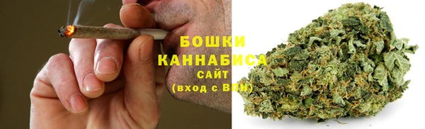 СК Аркадак
