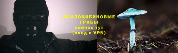 гидра Армянск
