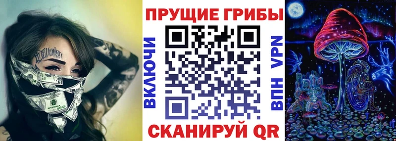 сколько стоит  Лениногорск  omg ССЫЛКА  Псилоцибиновые грибы мицелий 