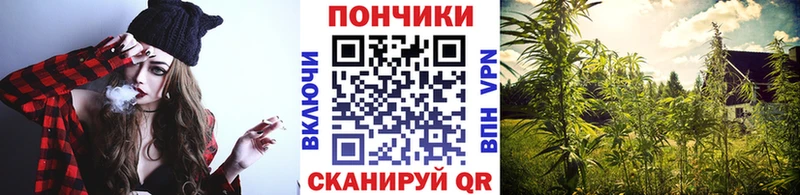 Бошки Шишки SATIVA & INDICA  Лениногорск 